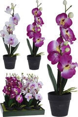 Keinotekoinen kasvi Orkidea, 8x14x38 cm hinta ja tiedot | Sisustustuotteet | hobbyhall.fi
