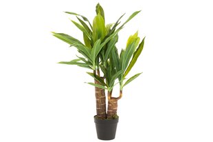 4Living tekokasvi Yucca, 85 cm hinta ja tiedot | Sisustustuotteet | hobbyhall.fi