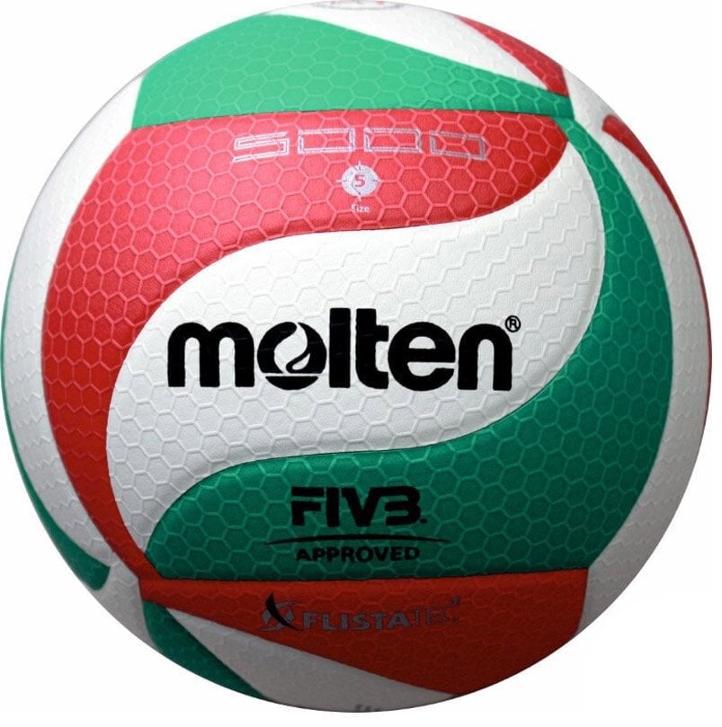 Molten Ball verkko TOP kilpailu V5M5000 X FIVB hinta ja tiedot | Lentopallot | hobbyhall.fi