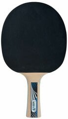 Pöytätennismailat Donic Schildkrot Legends 1000 FSC. hinta ja tiedot | Pingismailat | hobbyhall.fi