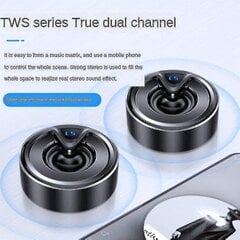 Mini Subwoofer Tooth Ser With Tws Dual Chl Wireless Tooth Mp3 O Player() hinta ja tiedot | Kuulokkeet | hobbyhall.fi