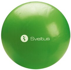 Sveltus Joogapallo 25cm SVELTUS vihreä + paketti hinta ja tiedot | Joogatarvikkeet | hobbyhall.fi