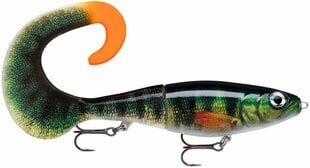 Lant Rapala X-Rap Otus XROU25PEL hinta ja tiedot | Vieheet ja uistimet | hobbyhall.fi