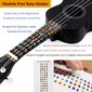 Winzz sopraano ukulele setti, musta hinta ja tiedot | Kitarat | hobbyhall.fi