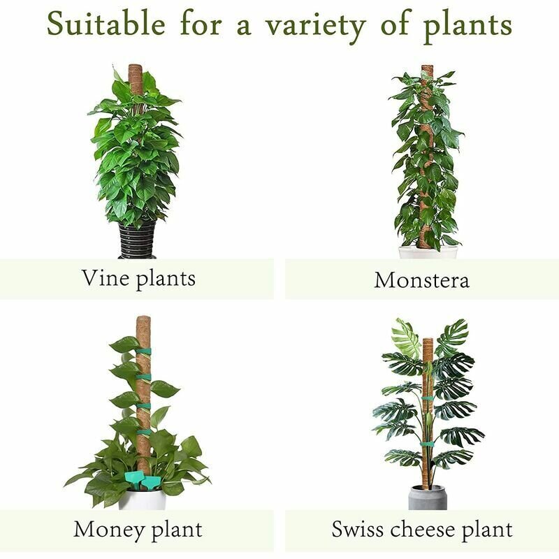 16 tuuman Coco Moss -kasvien tuet - 4 Pack Coco Moss -kasvien tuet kiipeilykasveille, sisä- ja ulkokäyttöön - ruskea sävy. hinta ja tiedot | Muut huonekalutarvikkeet | hobbyhall.fi