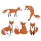 5 kpl Foxes Design Patch hinta ja tiedot | Muut huonekalutarvikkeet | hobbyhall.fi