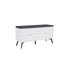 Kenkäkaappi Asir Dune Bench, valkoinen hinta ja tiedot | Kenkäkaapit ja -hyllyt | hobbyhall.fi