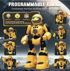 Interaktiivinen kaukosäädinrobotti RC Robot hinta ja tiedot | Poikien lelut | hobbyhall.fi