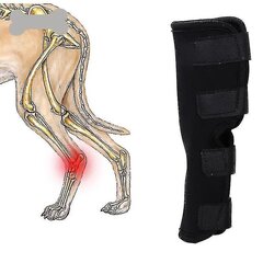 1Kpl Dog Hock B Sleeve Pet Ive Leg Wrap -Suoja_XL hinta ja tiedot | Treenivälineet | hobbyhall.fi