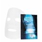 Biotherm Life Plankton Essence-In-Mask kasvonaamio 27 g hinta ja tiedot | Kasvonaamiot ja silmänalusaamiot | hobbyhall.fi