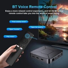 TV Box Android 10 Allwinner H313 Dual Wifi 2.4G+5G Quad Core Cortex A53 Tuki 4K BT Voice Media Player digiboksi hinta ja tiedot | Digiboksit | hobbyhall.fi