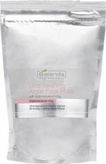 Bielenda Professional Face Program Face Algae with Diatomaceous Clay kasvonaamio 190 g hinta ja tiedot | Kasvonaamiot ja silmänalusaamiot | hobbyhall.fi