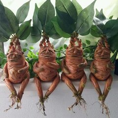 Mandrake Grass Resin Staty Landskap Ornament Art Figurine Cra Ruskea 1kpl hinta ja tiedot | TV-antennit | hobbyhall.fi