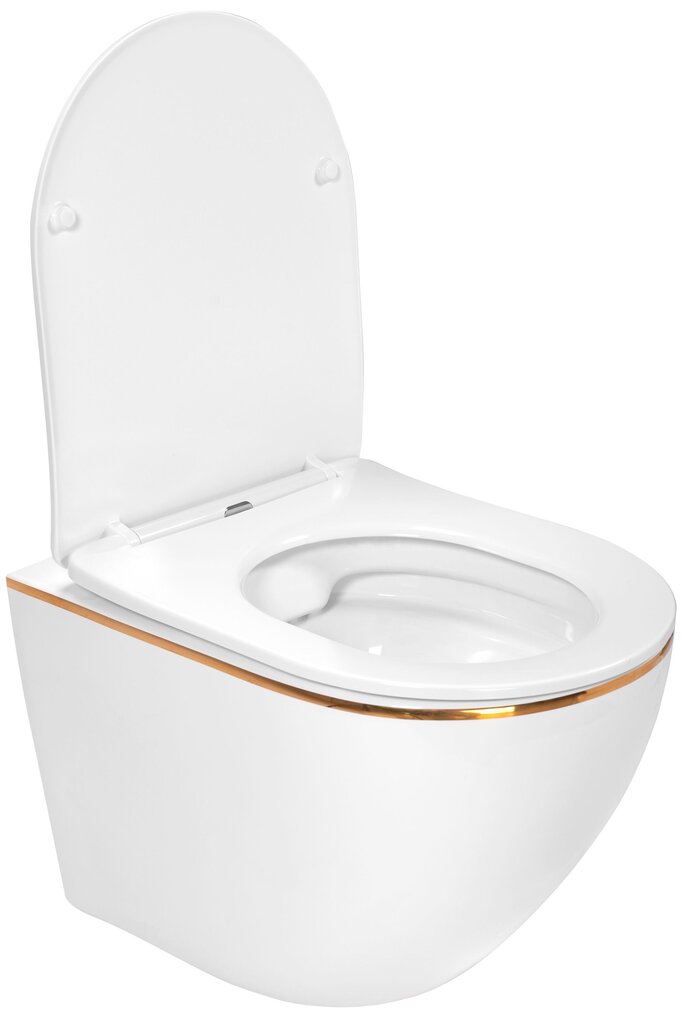 WC-pöytäsarja CARLO Mini Flat + bidee CARLO Mini White Gold Edge hinta ja tiedot | WC-istuimet | hobbyhall.fi