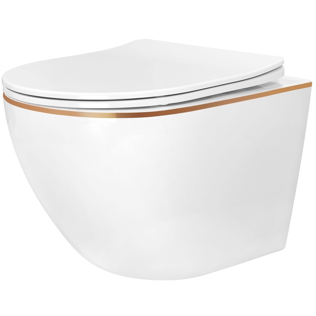 WC-pöytäsarja CARLO Mini Flat + bidee CARLO Mini White Gold Edge hinta ja tiedot | WC-istuimet | hobbyhall.fi