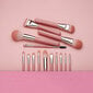 Eigshow Beauty 15 Brush Set Series Jade Misty Rose hinta ja tiedot | Meikkisiveltimet ja meikkisienet | hobbyhall.fi