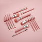 Eigshow Beauty 15 Brush Set Series Jade Misty Rose hinta ja tiedot | Meikkisiveltimet ja meikkisienet | hobbyhall.fi