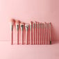 Eigshow Beauty 15 Brush Set Series Jade Misty Rose hinta ja tiedot | Meikkisiveltimet ja meikkisienet | hobbyhall.fi