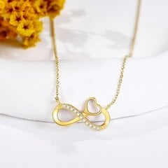 Infinity Pendant kaulakoru 14 K Solid Gold Infinity Heart Pendant koruja hinta ja tiedot | Korusetit | hobbyhall.fi