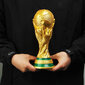 World Cup Soccer Trophy Resin Replica Trophy malli jalkapallofani hinta ja tiedot | Pienoismallit | hobbyhall.fi