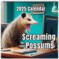 2025 Hauska Screaming Possums Kalenteri, Suuri 2025 Paksu Paperi Possums Seinäkalenteri, Kierresidottu Pos jn hinta ja tiedot | Kalenterit ja muistikirjat | hobbyhall.fi