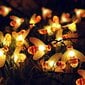 Solar String Lights, 7M IP65 Outdoor String Lights 8 Modella ja 50 LED Bee String Lights puutarhaan, patiolle, aidalle, häihin, terassille, jouluun (lämmin valkoinen) hinta ja tiedot | Sohvaryhmät | hobbyhall.fi