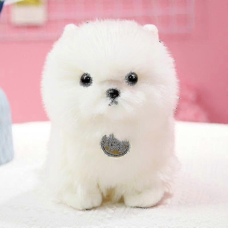 Pomeranian Puppy Doll Pehmo - Söpö Valkoinen Koiran Simulaationukke - 23 Cm Nukketyyny - hinta ja tiedot | Pehmolelut | hobbyhall.fi