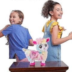 Pets Alive The Booty Shakin Llama Dancing Toy Rainbow Väri hinta ja tiedot | Pehmolelut | hobbyhall.fi