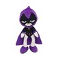 Teen Titans Go Robin Starfire Beast Boy Raven Cyborg täytetyt eläin pehmolelu nukke 9,84 tuumaa hinta ja tiedot | Pehmolelut | hobbyhall.fi