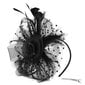 Naisten juhlatilaisuus Fascinator Hat Plumed Hat hinta ja tiedot | Naisten päähineet | hobbyhall.fi