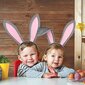 3 pakkauksen Easter Bunny Ears -päänauhat hinta ja tiedot | Hiustarvikkeet | hobbyhall.fi