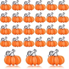 Pumpkin Charms Pumpkin Pendant 3D Pumpkin Alloy Charms hinta ja tiedot | Miesten korut | hobbyhall.fi