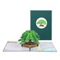 3D Pop Up -kortti Pine Tree -onnittelukortit Onnittelukortti kirjekuorella Postikortti-yu hinta ja tiedot | Kirjekuoret ja postikortit | hobbyhall.fi