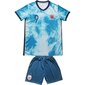 Nuorten urheiluvaatteet Norja 9 Haaland Kids Away Soccer Jersey/Shorts Jalkapallosukat Set hinta ja tiedot | Jalkapallovaatteet ja -varusteet | hobbyhall.fi