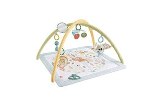 Leikkimatto Fisher Price hinta ja tiedot | Leikkimatot | hobbyhall.fi