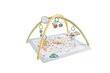 Leikkimatto Fisher Price hinta ja tiedot | Leikkimatot | hobbyhall.fi