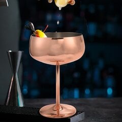 Copper Coupe samppanjalasit, 2 ruostumattomasta teräksestä valmistettua Vintage Martini Cocktail -viinilasia hinta ja tiedot | Juomapullot | hobbyhall.fi