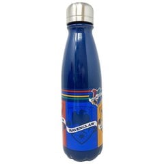 Harry Potter Tylypahkan talot pullo 600ml hinta ja tiedot | Juomapullot | hobbyhall.fi