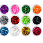 Vartalokimalle, Kasvojen glitter, Festivaalin glitter, Hiusten glitter, Kynsien glitter, Nail Art Kit, Kosmeettinen glitter 12 tuotetta hinta ja tiedot | Kauneudenhoitotarvikkeet | hobbyhall.fi