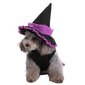 1kpl Koiran Halloween-hattu Halloween-koristeisiin hinta ja tiedot | Ruokakupit ja ruokintatarvikkeet | hobbyhall.fi