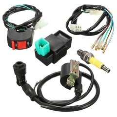 Wiring Loom Kill Switch Coil Cdi Plug 110cc 125cc 140cc Pit Bike hinta ja tiedot | Lisätarvikkeet autoiluun | hobbyhall.fi