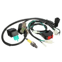 Wiring Loom Kill Switch Coil Cdi Plug 110cc 125cc 140cc Pit Bike hinta ja tiedot | Lisätarvikkeet autoiluun | hobbyhall.fi