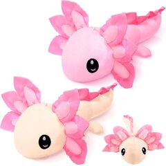 Axolotl pehmolelu täytetyt lelut 2 kpl Axolotl pehmo täytetty salamanteri Axolotl täytetyt eläin 14 tuumaa Axolotl pehmo Axolotl pehmolelu pehmeä Axolot hinta ja tiedot | Pehmolelut | hobbyhall.fi