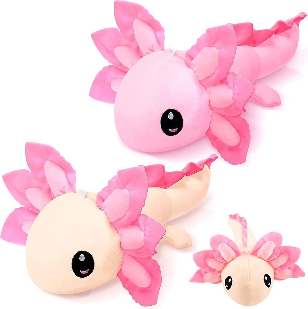 Axolotl pehmolelu täytetyt lelut 2 kpl Axolotl pehmo täytetty salamanteri Axolotl täytetyt eläin 14 tuumaa Axolotl pehmo Axolotl pehmolelu pehmeä Axolot hinta ja tiedot | Pehmolelut | hobbyhall.fi