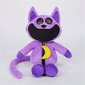 Uusi Smiling Critters Pehmo, Hauska Smiling Critters Tyyny, Hymyilevä Critters Pehmo Catnap Pehmo F hinta ja tiedot | Pehmolelut | hobbyhall.fi