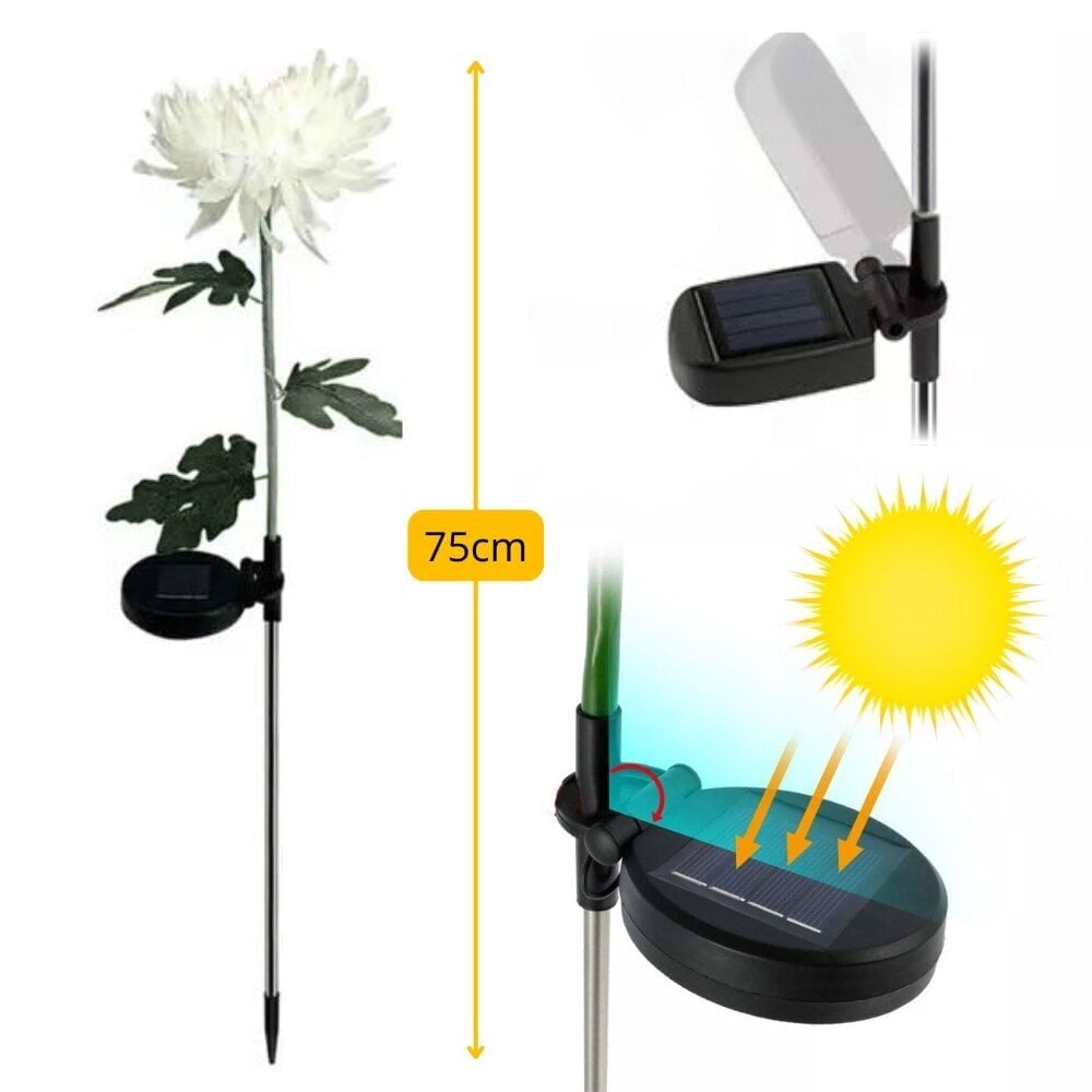 Aurinkoenergialla toimivat LED krysanteemit GoGarden, 2 kpl, 75 cm hinta ja tiedot | Puutarha- ja ulkovalot | hobbyhall.fi