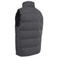 Trespass Miesten lukko pehmustettu liivi/bodywarmer, Flint UTTP849_flint hinta ja tiedot | Miesten ulkoilutakit | hobbyhall.fi