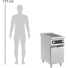 Induktioliesi 2 polttimella ja kaapilla, 400 V, 8500 W hinta ja tiedot | Sähköliedet | hobbyhall.fi