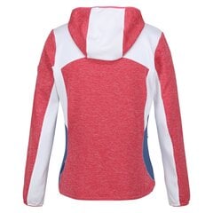 Regatta Naisten / naisten Walbury V kontrastipaneeli Full Zip Fleece takki, Hedelmät Kyyhkynen/Valkoinen UTRG9516_fruitdovewhite hinta ja tiedot | Naisten ulkoilutakit | hobbyhall.fi