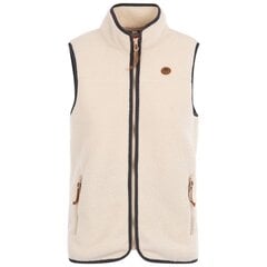 Trespass Naisten/Laisten Notion Fleece AT300 Gilet Gilet, Ghost UTTP5908_ghost hinta ja tiedot | Naisten ulkoilutakit | hobbyhall.fi